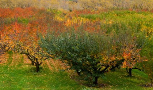 Blsc_0083_copy-small