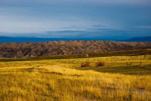 Blsc_0286_copy-small