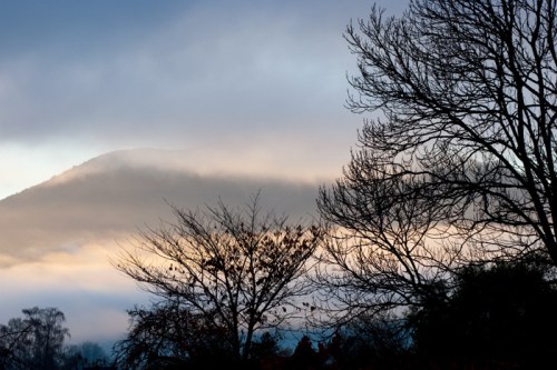 Dsc_0825_copy2-small