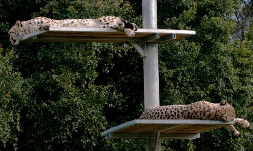 Btsc_3629_copy-small