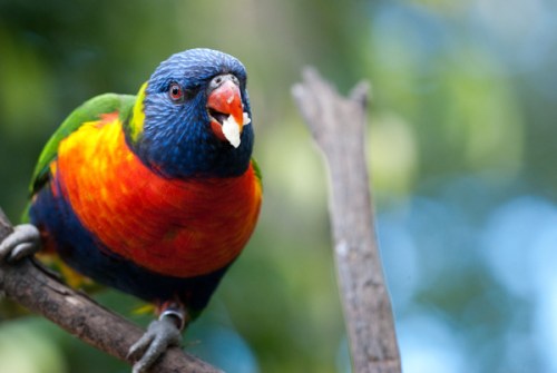 Btsc_3757_copy-small