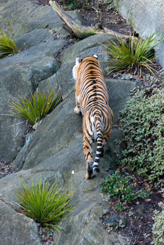 Btsc_3875_copy-small