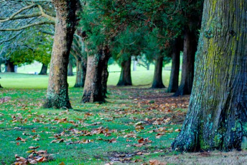 Bpsc_0660_copy-small