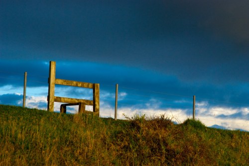 Bssc_0229_copy-small