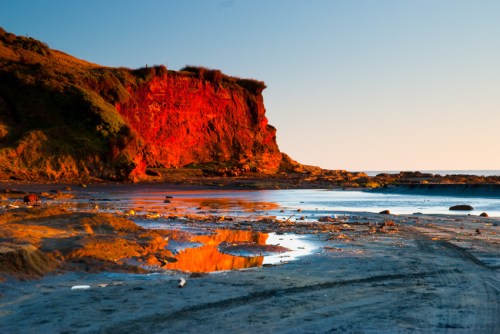 Btsc_2391_copy-small