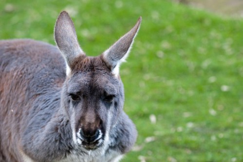 Btsc_3801_copy-small