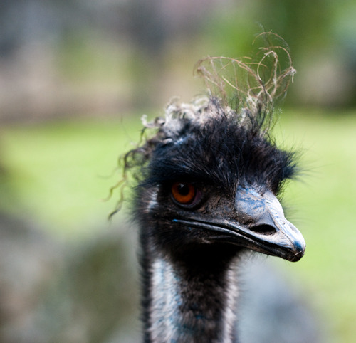 Btsc_3807_copy-small