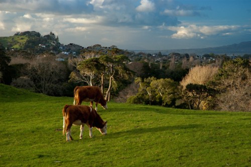 Btsc_5478_copy-small