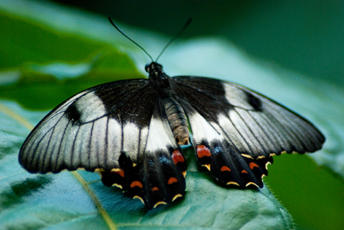 When Colour Runs in the Rain