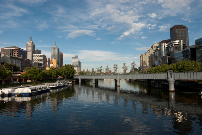 Year Long Project - Before Dinner