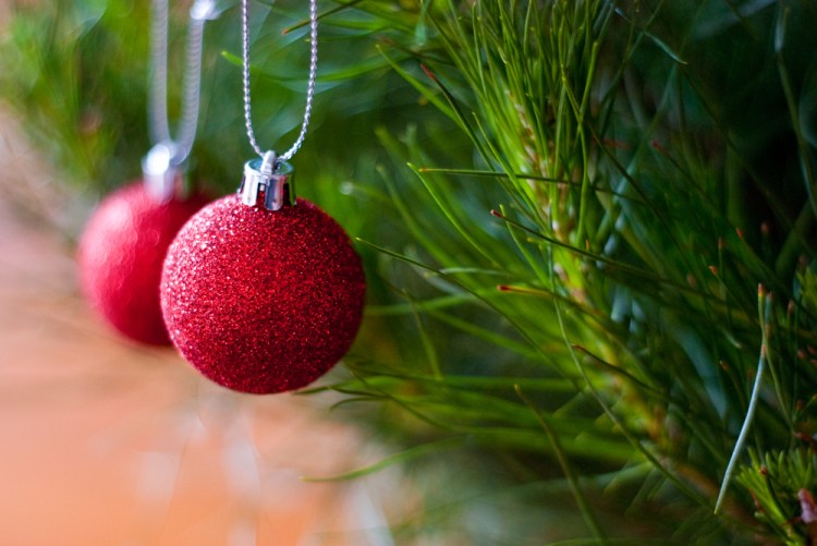 Happy Christmas and New Year