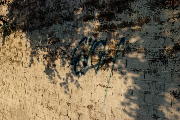 We Don't Need No Education