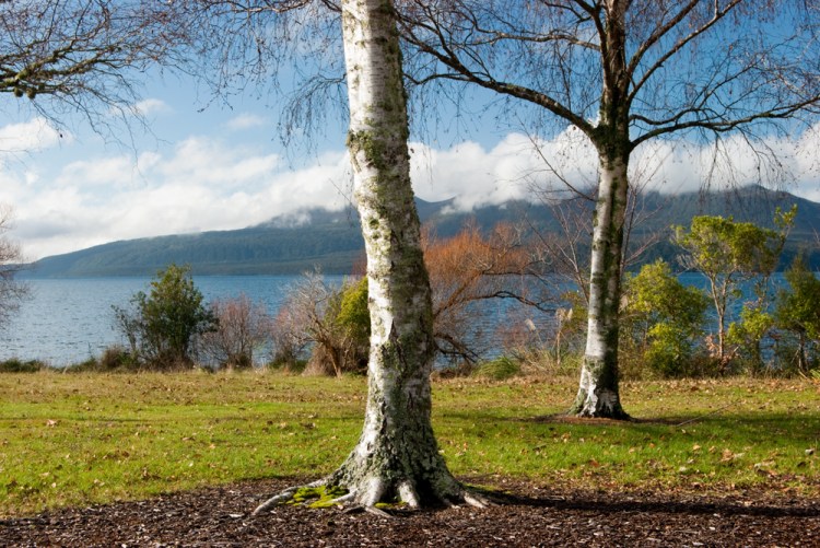 Mount Tarawera